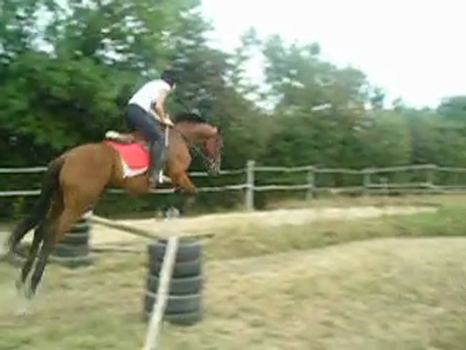 saut 1 métre