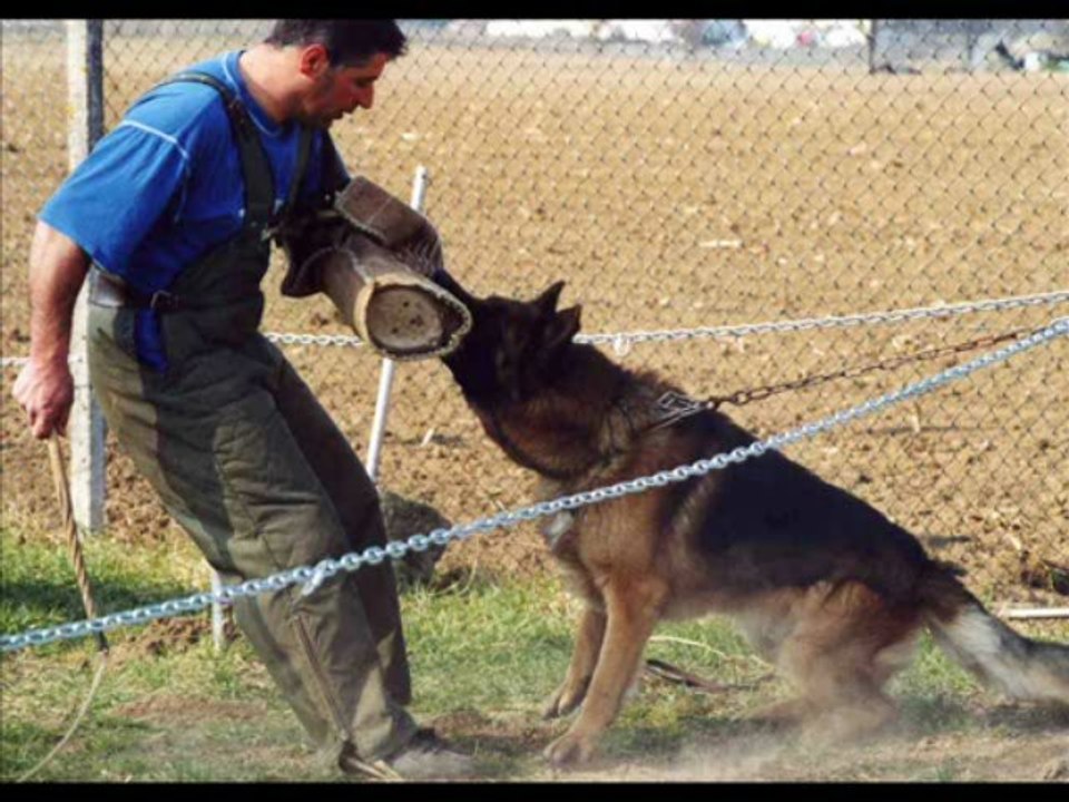 Montage photo souvenir