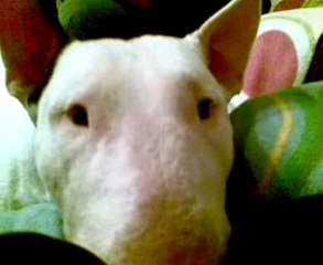 /Users/natnat/Desktop/04122009