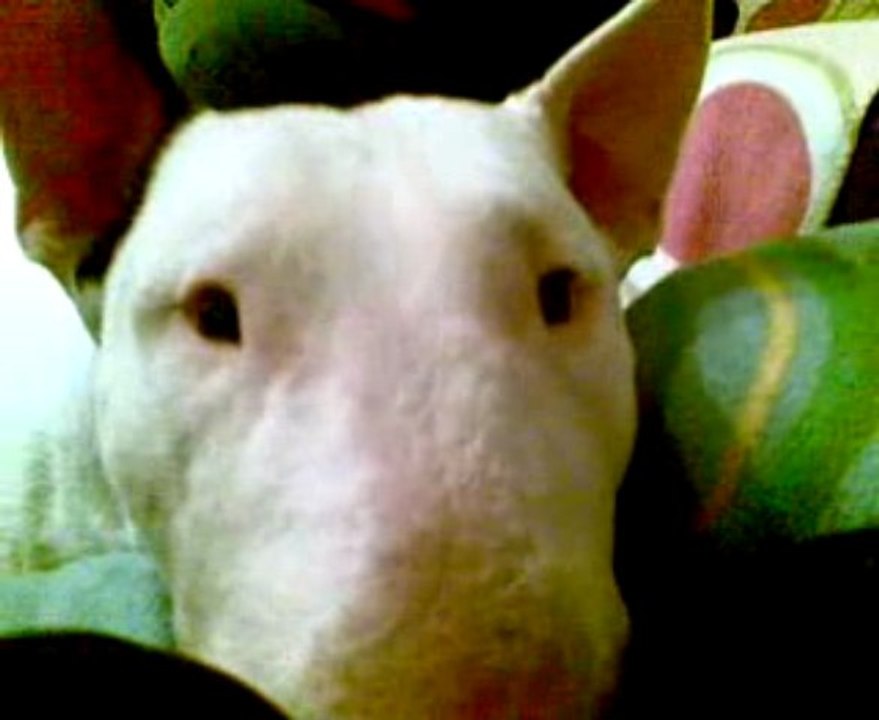 /Users/natnat/Desktop/04122009