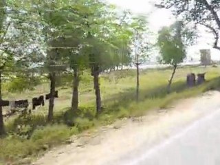 Inde - Bihar > Entre Gaya et Bodhgaya