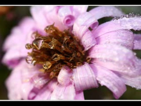 Красивые фото, пейзажи, слайд шоу, photo landscape