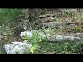 K40 grimpe et descend des escaliers avec 500 kg de rochers