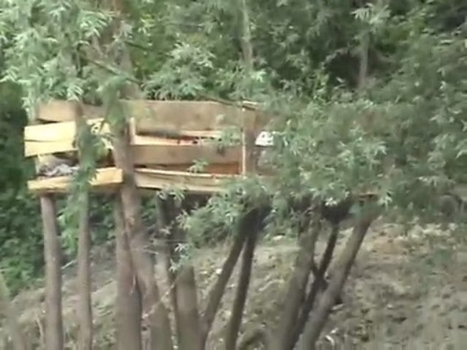 SAKARYA NEHRİNDE BALIK YAKALAMA TEKNİKLERİ