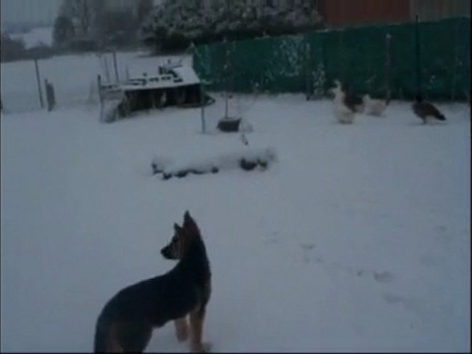 1 ere neige