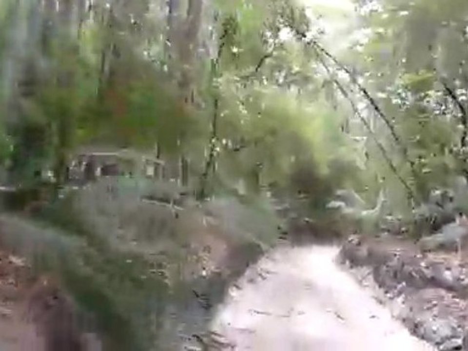 4x4 dans la jungle