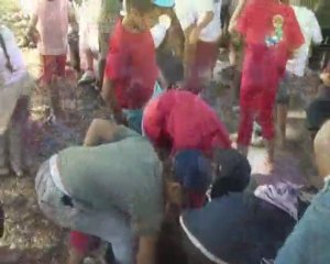 5-vendanges CE1 : les enfants écrasent le raisin (25 09 09)