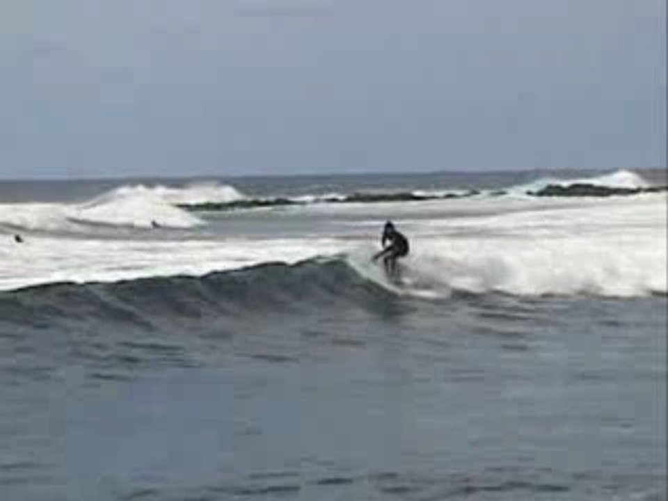 *finless foam