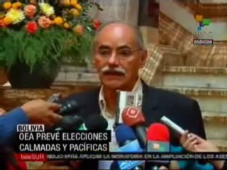 OEA  preve elecciones calmadas y pacificas
