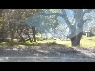 RV Trip Sequoia National Park