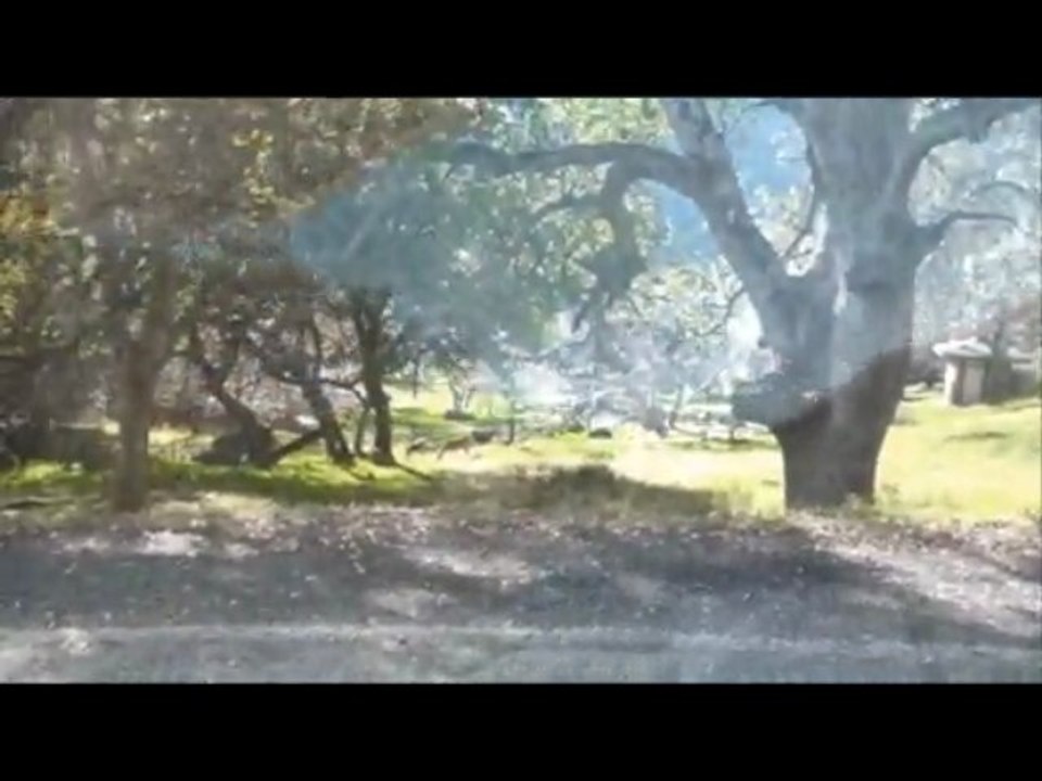 RV Trip Sequoia National Park