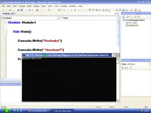 VisualBasic.Net 2008 Görsel Egitim alintiyap.net
