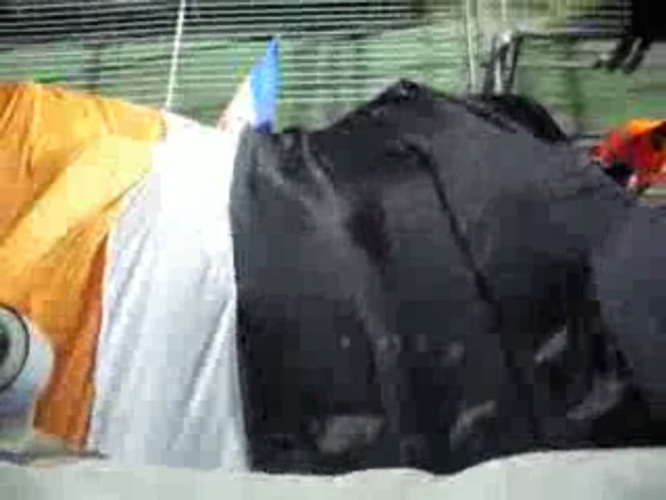 Tifo butte paillade mhsc le mans