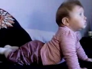 Premier 4 pattes de Cerise