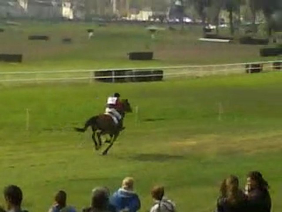 Le mondial du lion d'angers