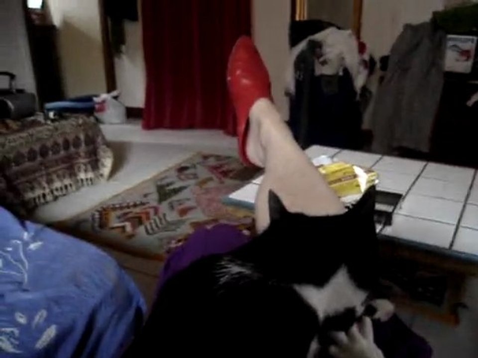 MOV00907