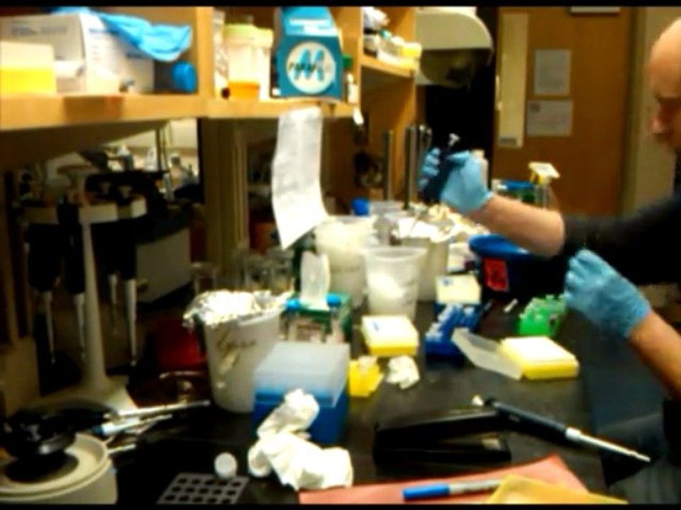 PEGging nucleosomes @ 130 bpm