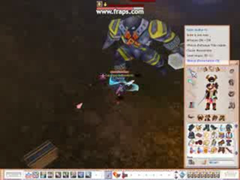 Voici mon perso sur flyff