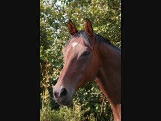 Par delà les barrières.