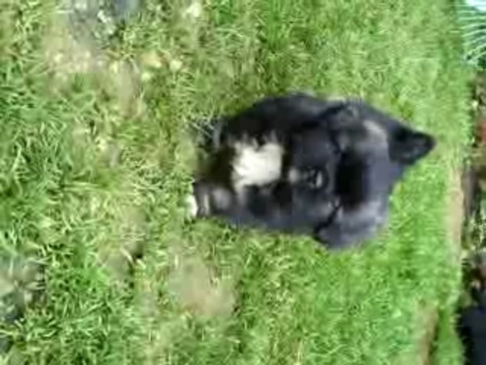 CLIP0024MAGUI061209
