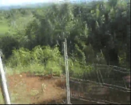 Hawaii 2009 Kualoa Ranch (4/5) Jungle Expedition