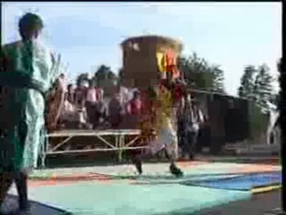 dogues noirs du poitou