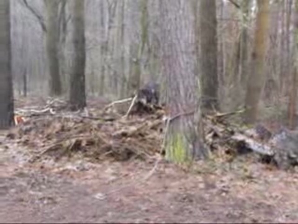 Devil, Video 1