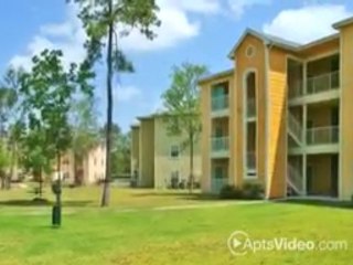 Stoneleigh Cypress Pointe Apartments in Tomball, ...