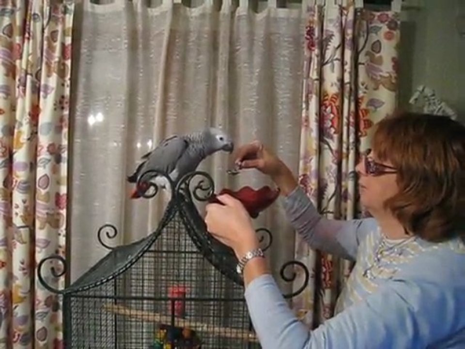 Elsa & le Coca