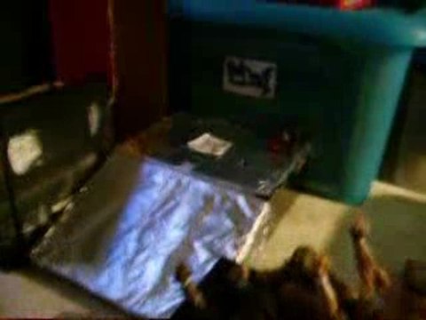 figurines de catch de Max N°4