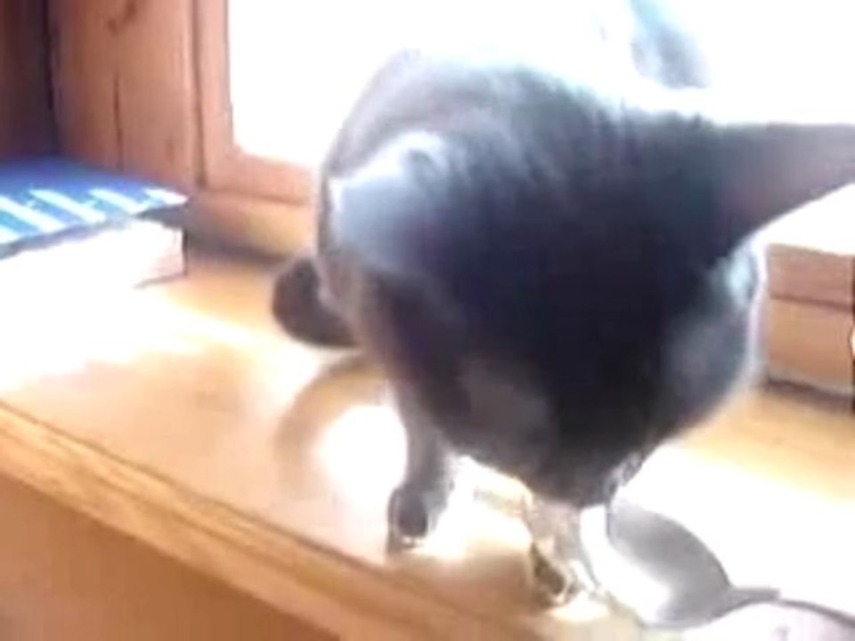 Gnam, gnam...da urlo!!!