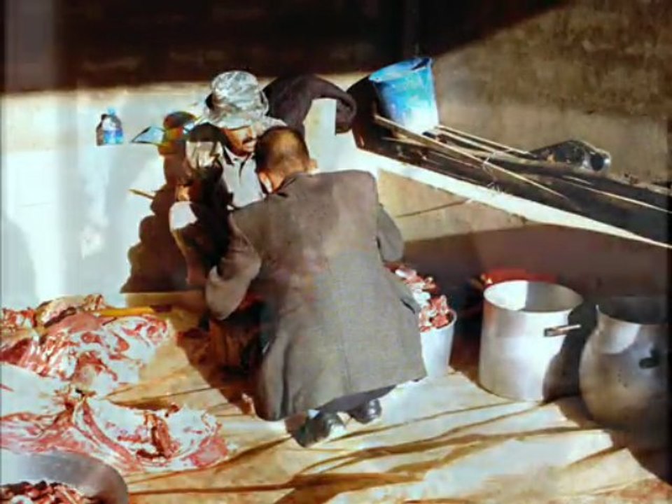 Louziâ Aregreg 2009