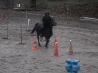 Equi fun téléthon Courtenay 2009 AURORE et KERIAN