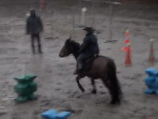 MELINE -  COURTENAY TELETHON 2009