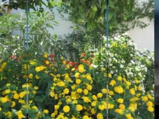 Spain holiday villa rentals