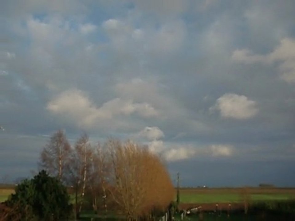 petite volée de pigeons voyageur pour la st Nicolas