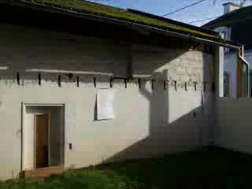 A garden party in My garden