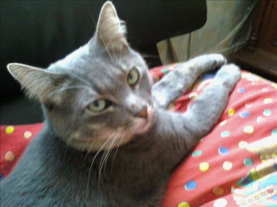 Boris