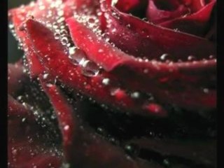 UNE VIDEO QUE JES CREE POUR UNE AMIE DE SKYL