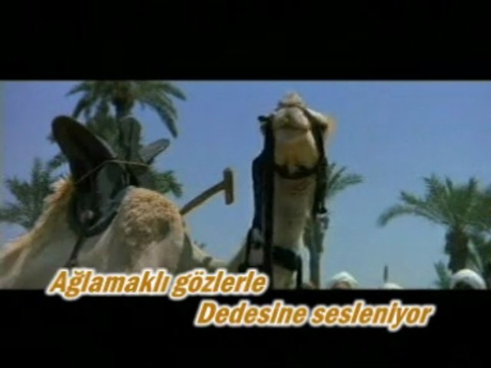 Mamoste Medine DIGRiYA