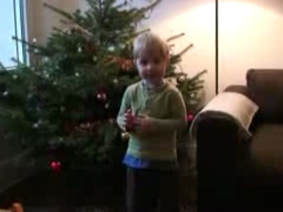 le sapin 1
