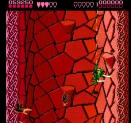 Battletoads (NES)
