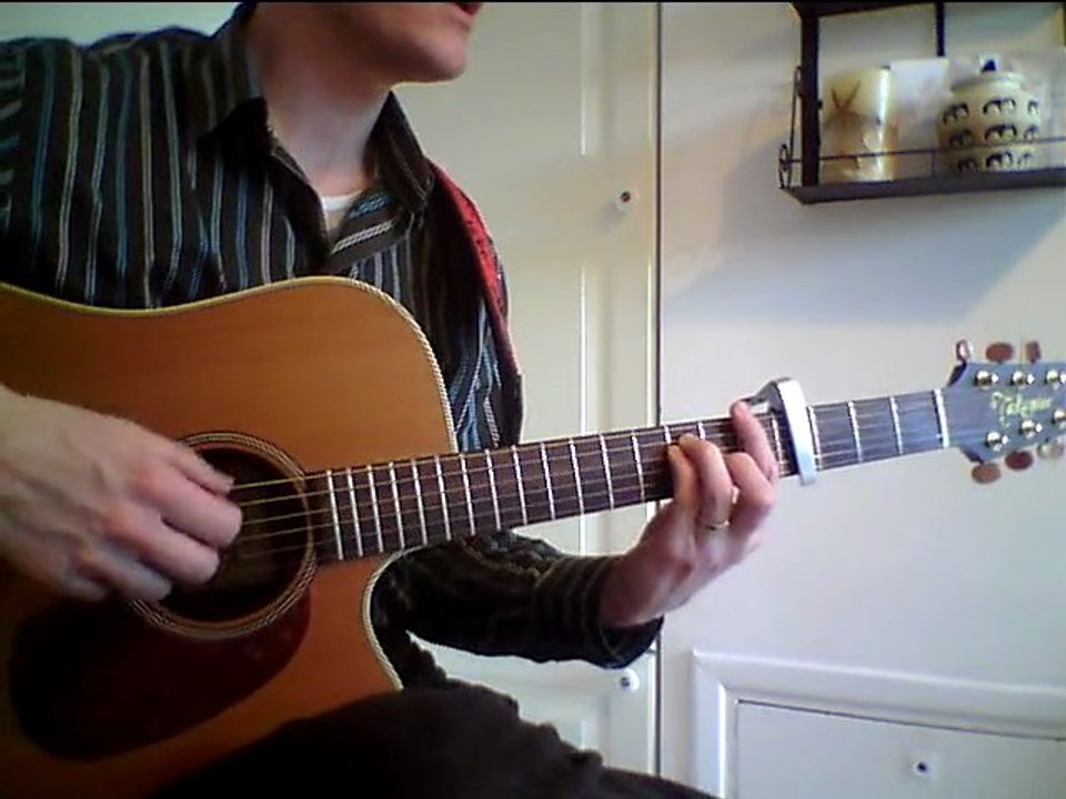 COCOON - HUMMINGBIRD COVER