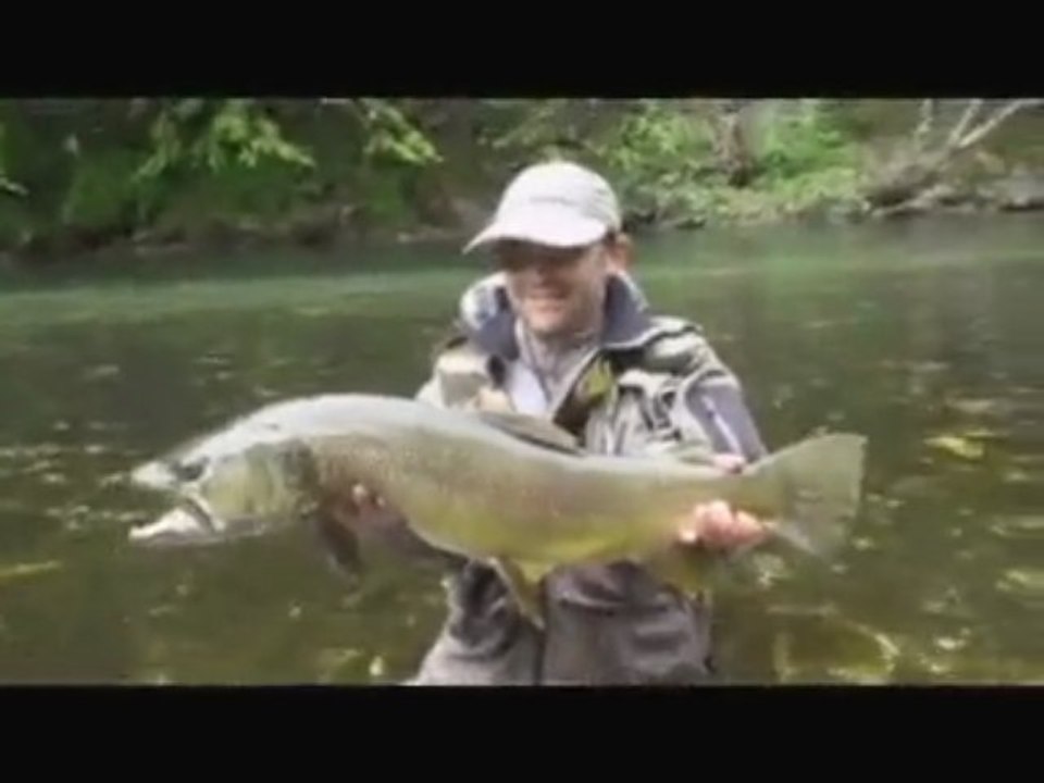 2009, une saison de dingue!