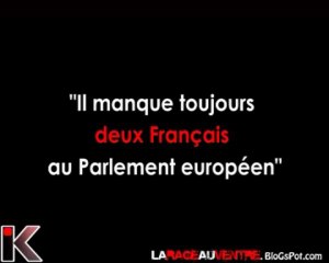 Il manque toujours 2 francais au parlement européen...