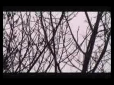 Dois OVNIS Filmados nos EUA 12/11/2009