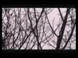 Dois OVNIS Filmados nos EUA 12/11/2009