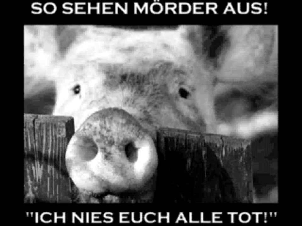 Setzt Die Erde In Brand