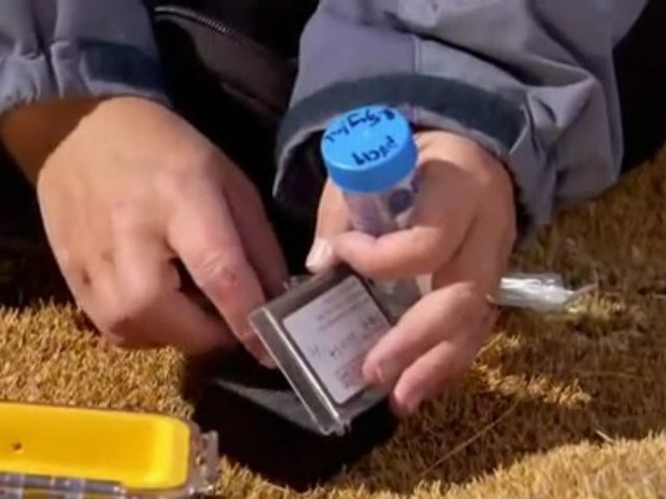 La Naissance de la Vie 2/3