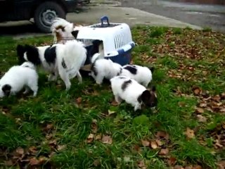 4 décembre 09 3ème sortie